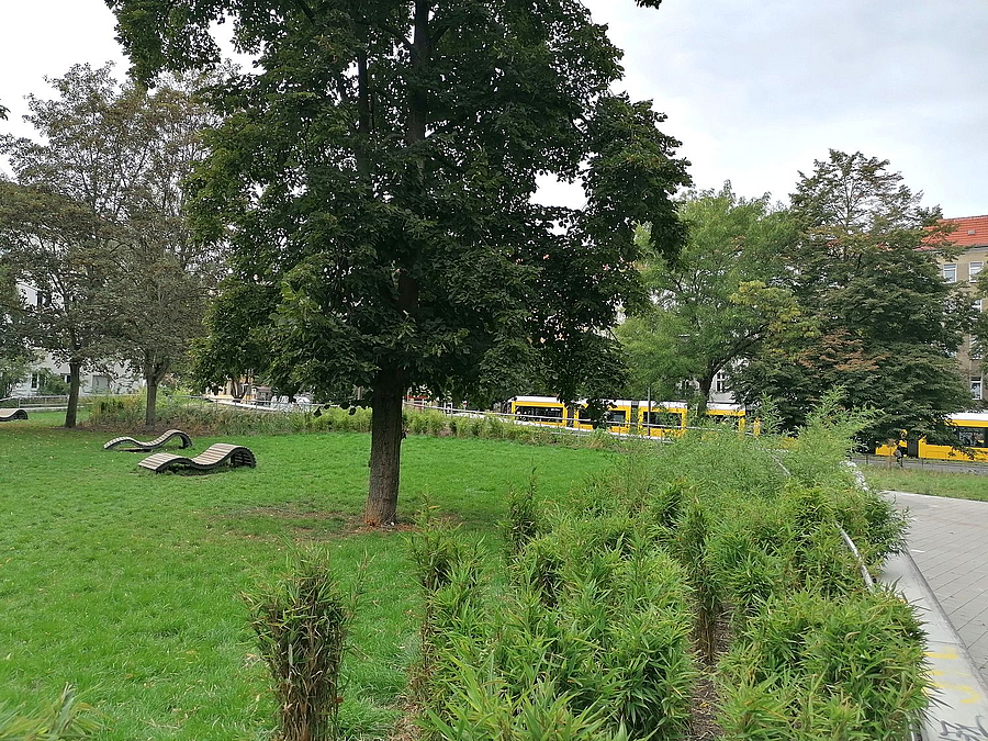 Bambuspflanzung, Rasen. Bäume, Lümmelbänke, befestigter Weg