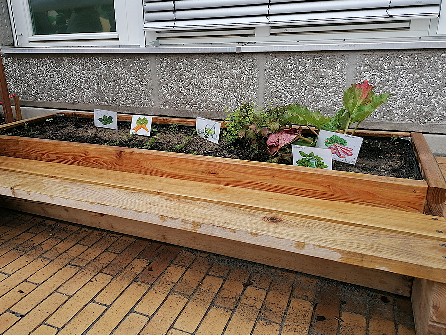 Hochbeet für Kinder mit Jungpflanzen und Artenbezeichnung, Sitzbrett