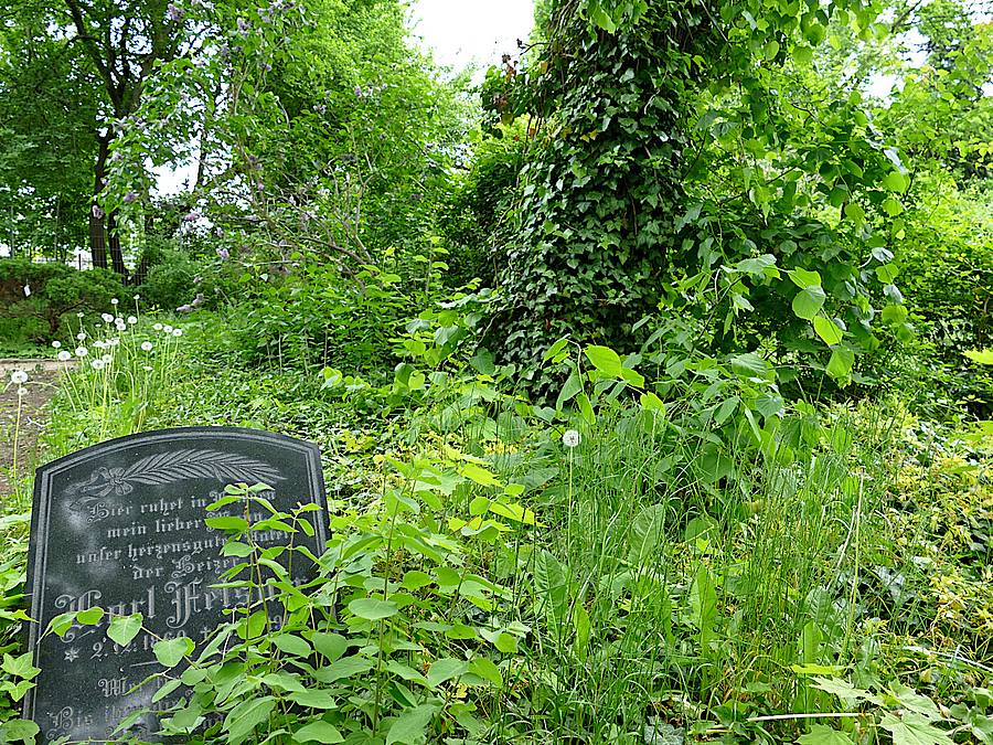 Grabstele in wuchernder Natur