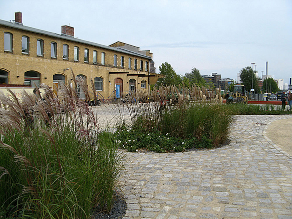 Gelbes Klinkergebäude, Kopfsteinpflaster mit Schilfinseln, Sand