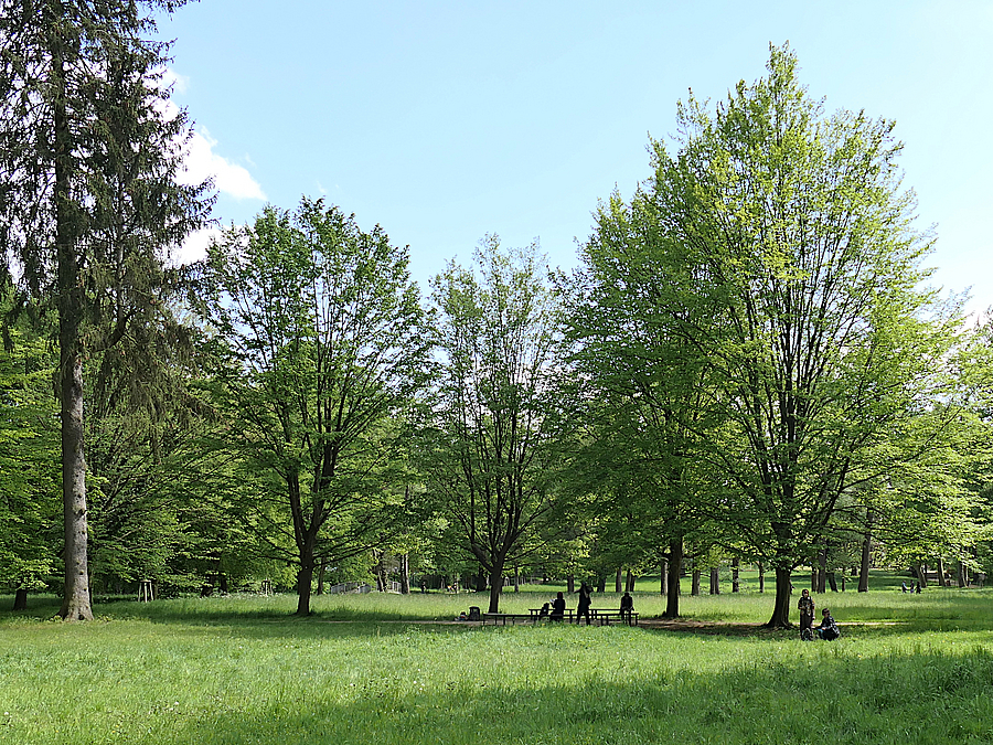 Der Holländergarten mit alten wertvollen Bäumen Wiese mit alten Bäumen, in der Ferne Personen