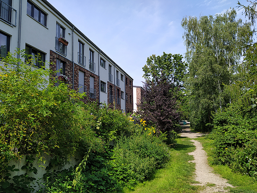 Grün mit schmalem Pfad, dahinter dreistöckige Häuserfront, weiß mit Klinkerschmuck