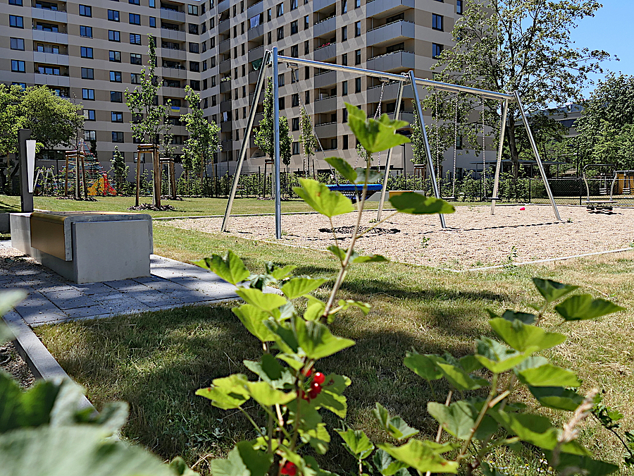 Blick über Johannesbeeren auf Schaukel und Wohnhochhaus