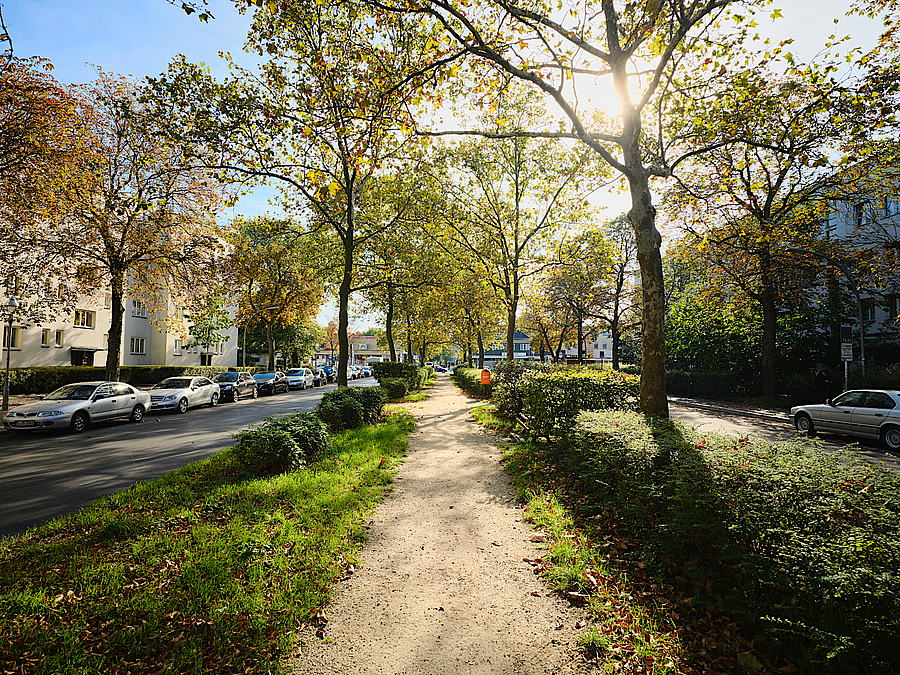 Allee mit breitem Mittelstreifen mit Hecken und Weg