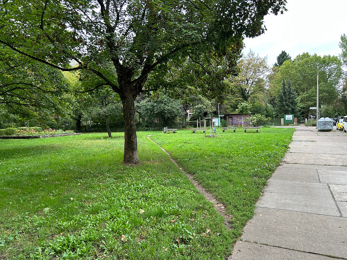 Grünfläche mit Trampelpfaden, daneben Weg aus Betonplatten
