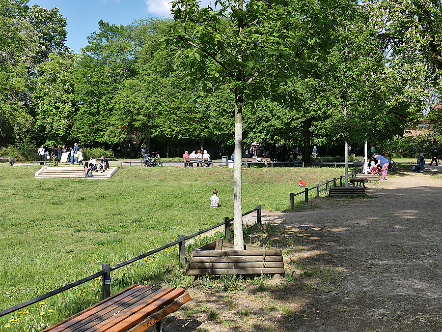 Schlossparterre mit historischer Treppe und Aufenthaltsbereich vor der Schlosskirche Rasen mit kleiner Treppe und eingefasster Weg mit jungen Bäumen