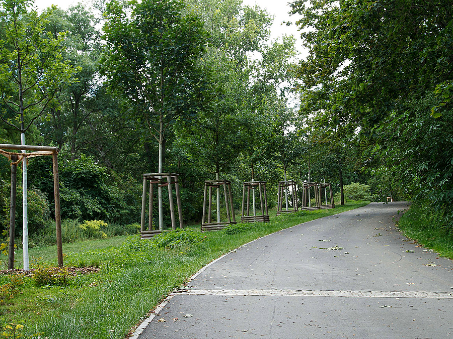 Breiter Asphaltweg bergan, gepflasterte Querrinne, Baumpflanzungen