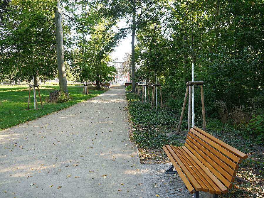 Allee mit Hainbuchen am südlichen südlichen Holländergarten