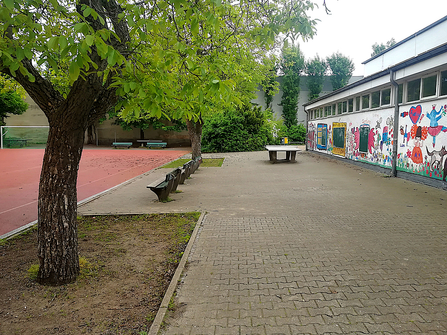 Fläche vor Sporthalle, Sportplatz, Baum