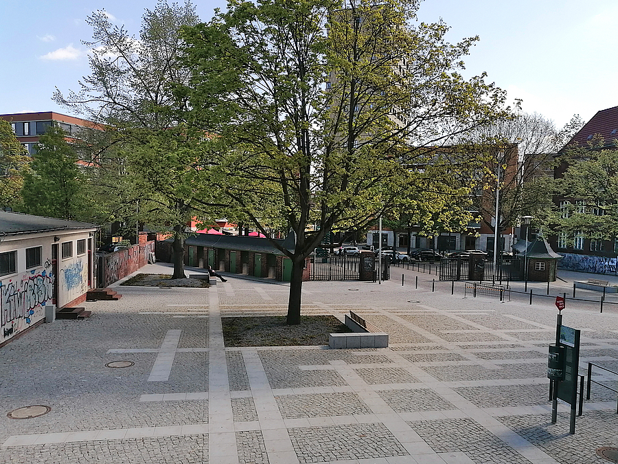 Blick von oben auf Platz mit grobem Rastermuster im Pflaster, großer Baum mit Sitzbank
