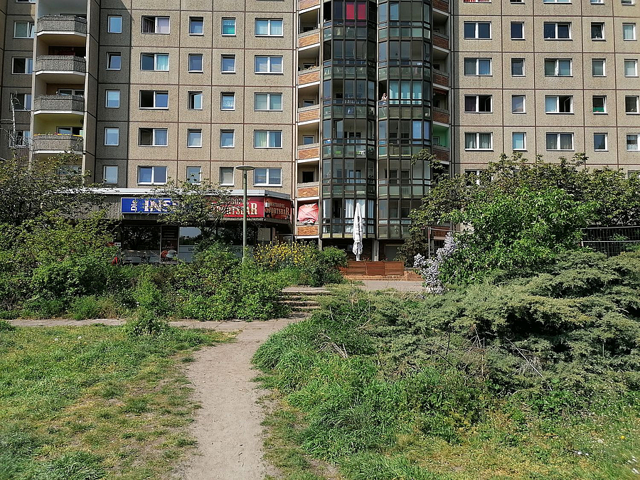 Trampelpfad führt zu Plattenbau, Hecken