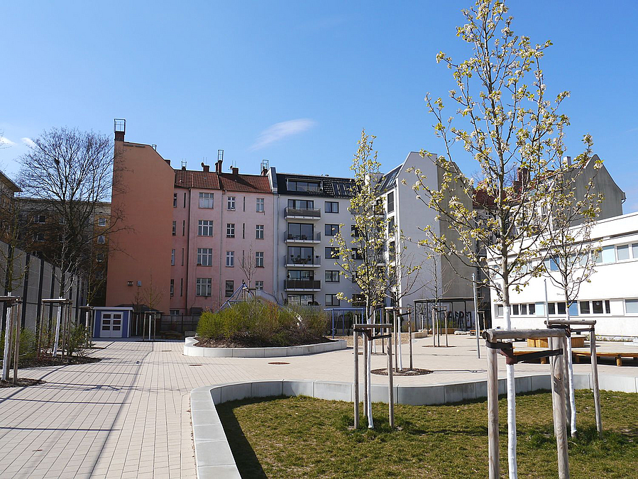Blühende Kirschen im Beet mit Sitzmauer