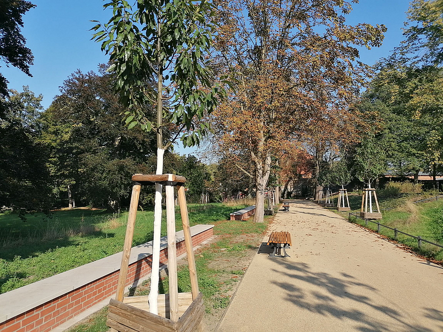 Der Hauptweg vom ehemaligen Schlossplatz durch die sogenannten Holländergärten wurde wiederhergestellt
