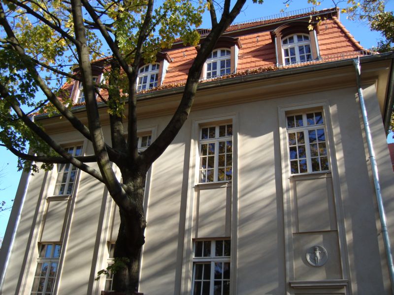 Die Vorderansicht des Hauses. Der Baum im Vordergrund.