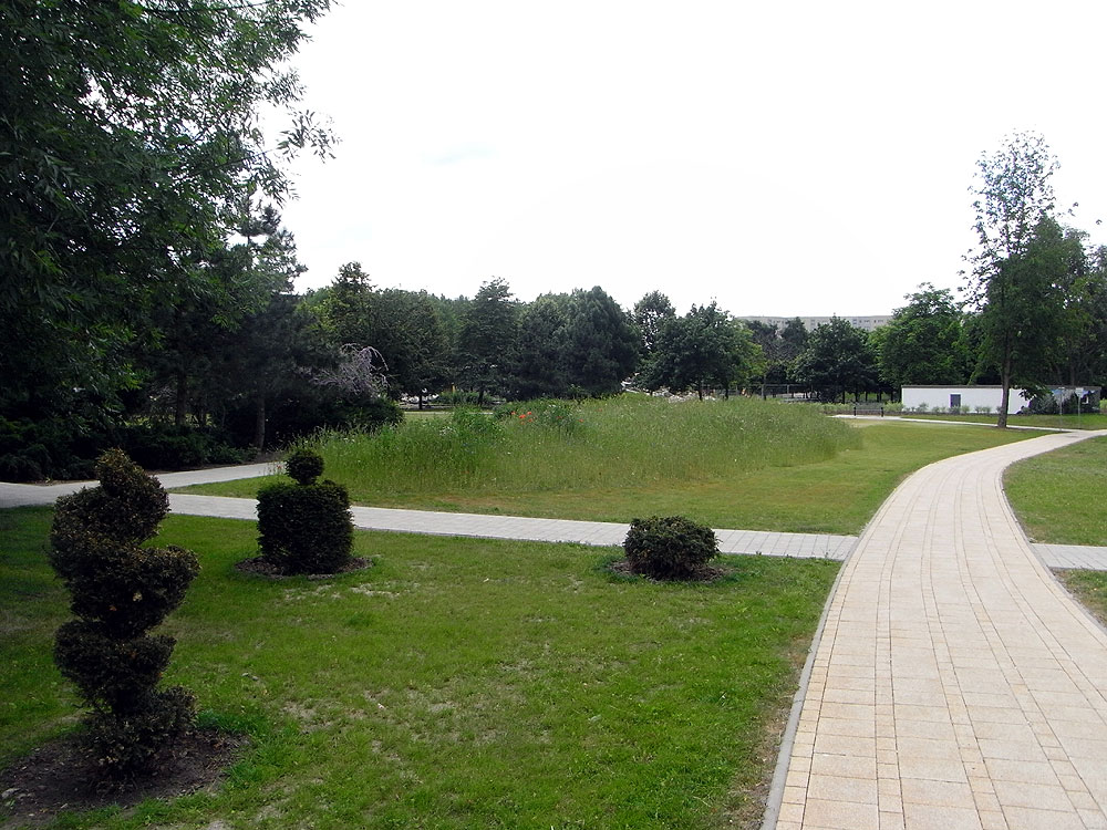 Weg und Wiese