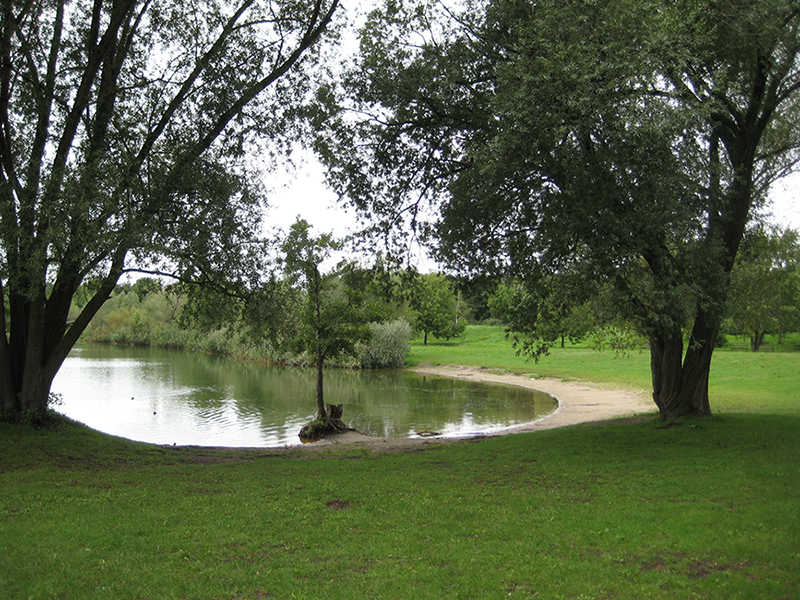 Die Liegewiese am Spektesee vor der Neugestaltung.